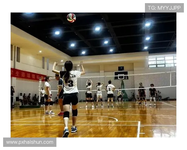 广州排球队的崛起与发展：探讨排球运动中的团队力量与精神