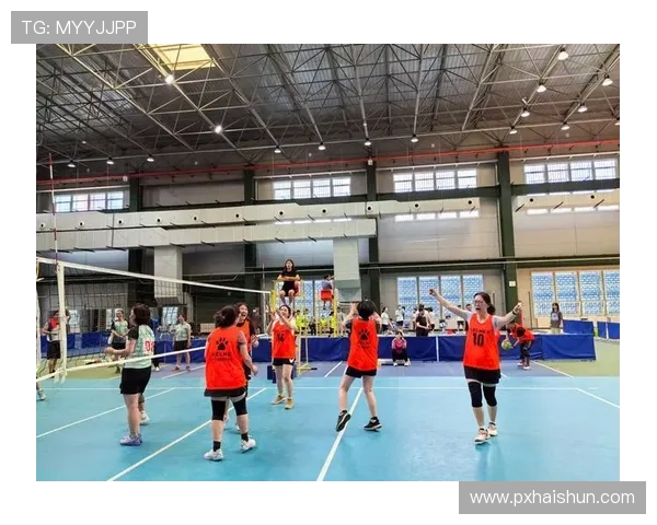 广州排球队在全国排球节奏排行榜中荣获第五名的佳绩引发热议