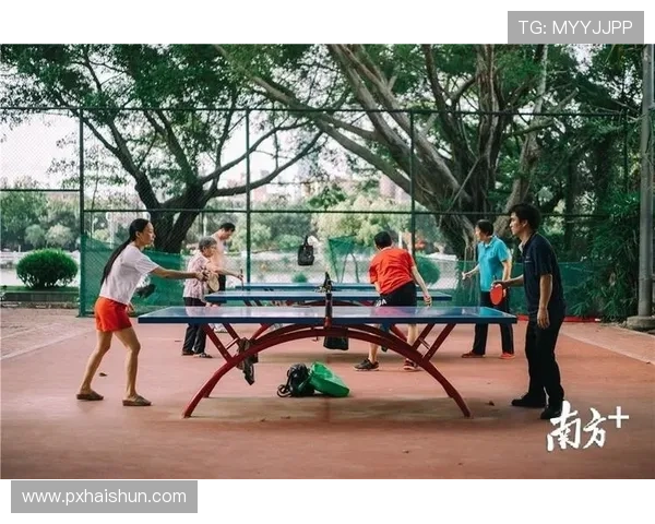 广州网球队灵活性变革引发热议助力提升竞技水平与青少年发展